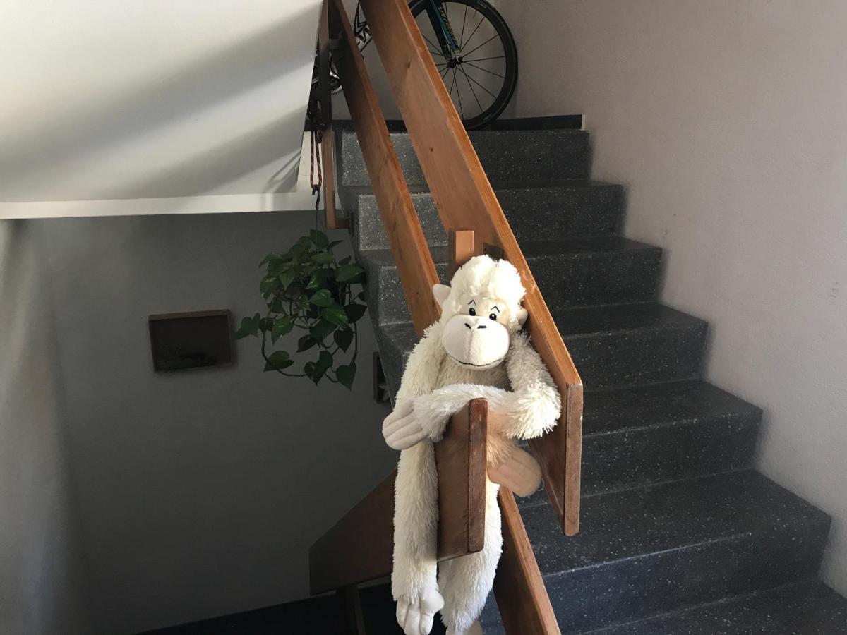 Laerchenwald Lodge Bellwald Kültér fotó