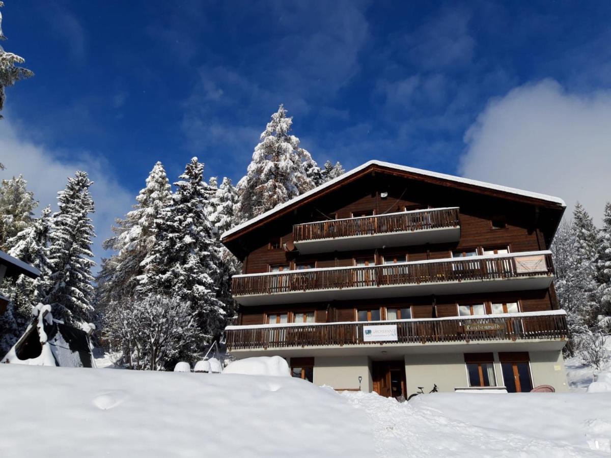 Laerchenwald Lodge Bellwald Kültér fotó
