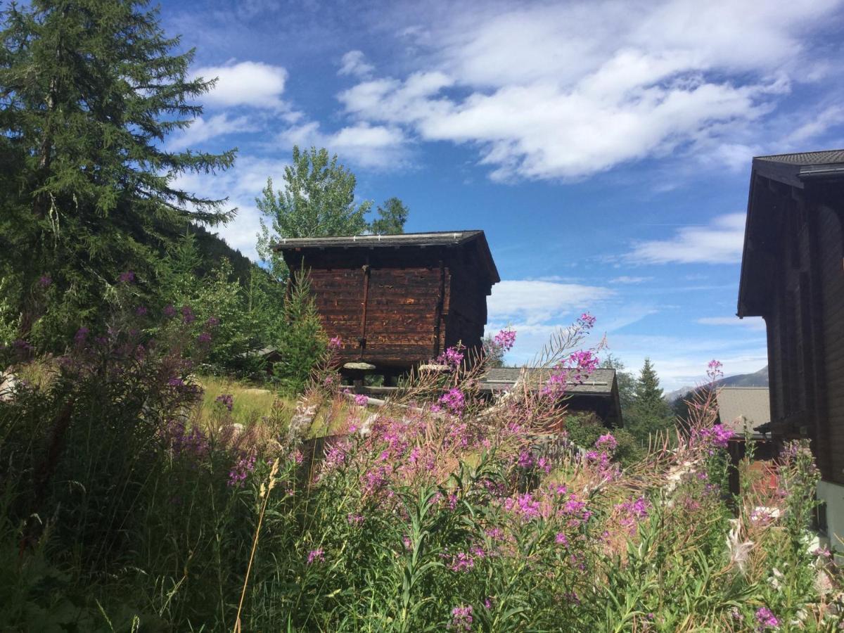 Laerchenwald Lodge Bellwald Kültér fotó