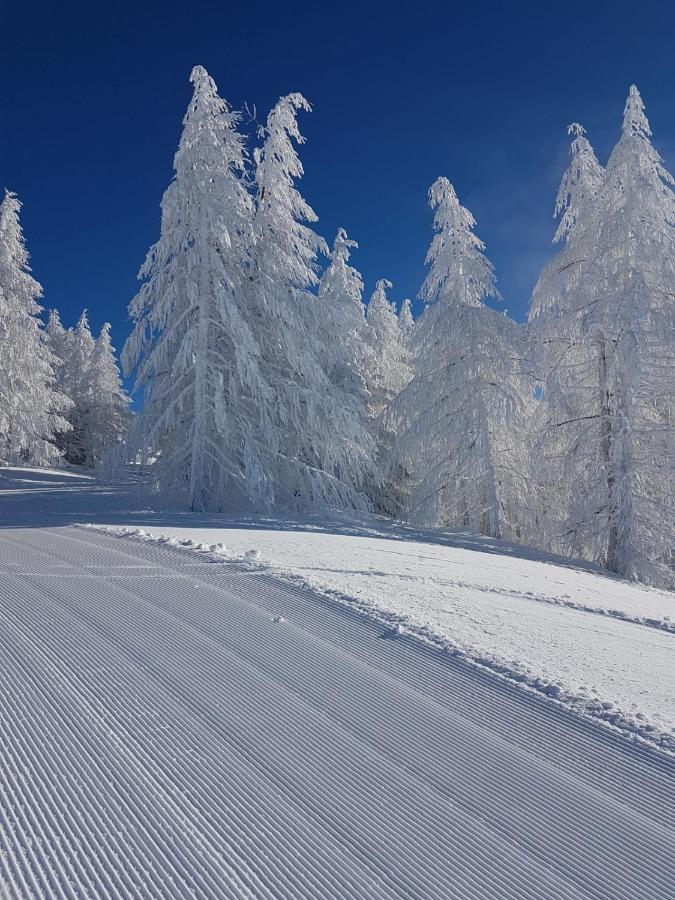 Laerchenwald Lodge Bellwald Kültér fotó