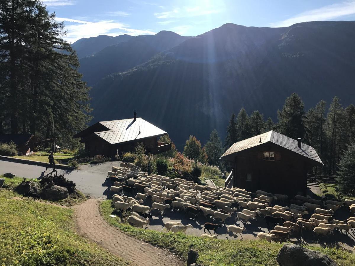 Laerchenwald Lodge Bellwald Kültér fotó