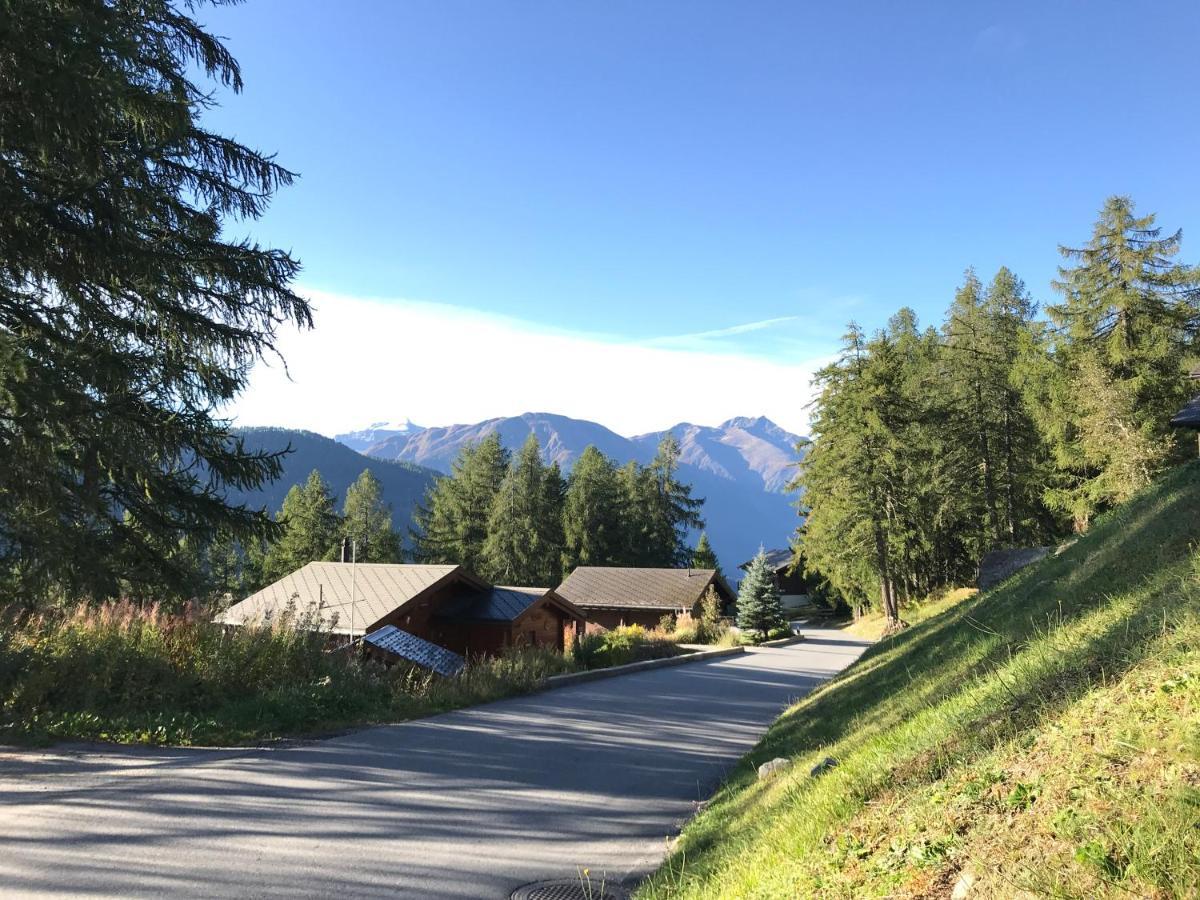 Laerchenwald Lodge Bellwald Kültér fotó